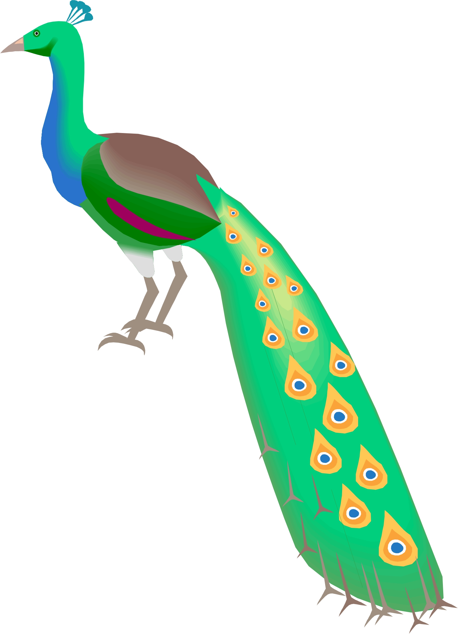 Free Cartoon Peacock Pictures, Download Free Cartoon Peacock Pictures png  images, Free ClipArts on Clipart Library