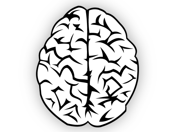 Brain Vector Free | Human Brain Vector Image Free Download