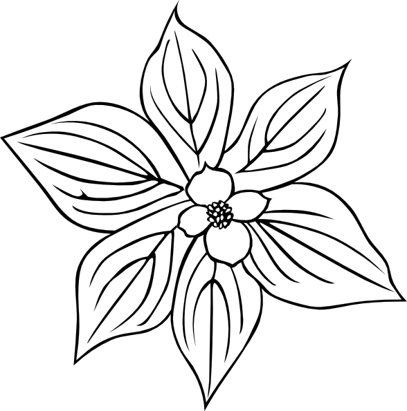 Snowdrop Flower Tattoo - Clipart library