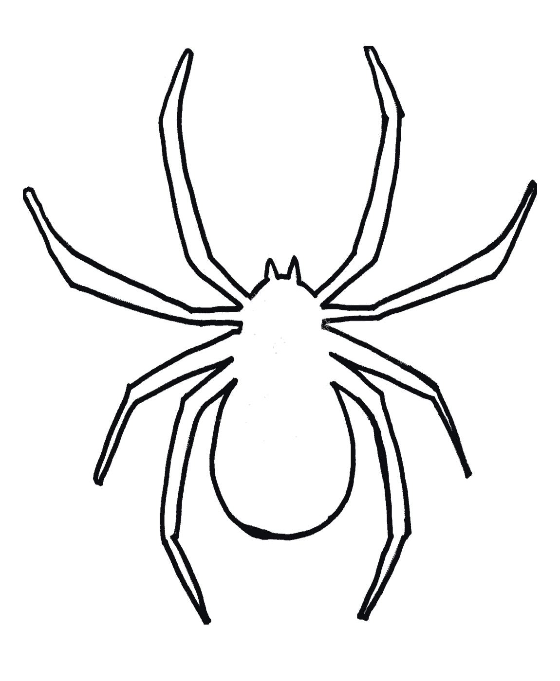 Cartoon Spider Template - Clipart library