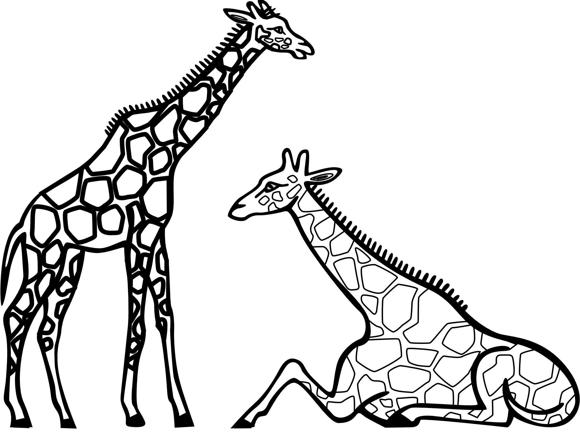 Cartoon Giraffe Black And White Widescreen 2 HD Wallpapers 