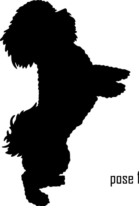 Bichon*vector* | Cards | Clipart library