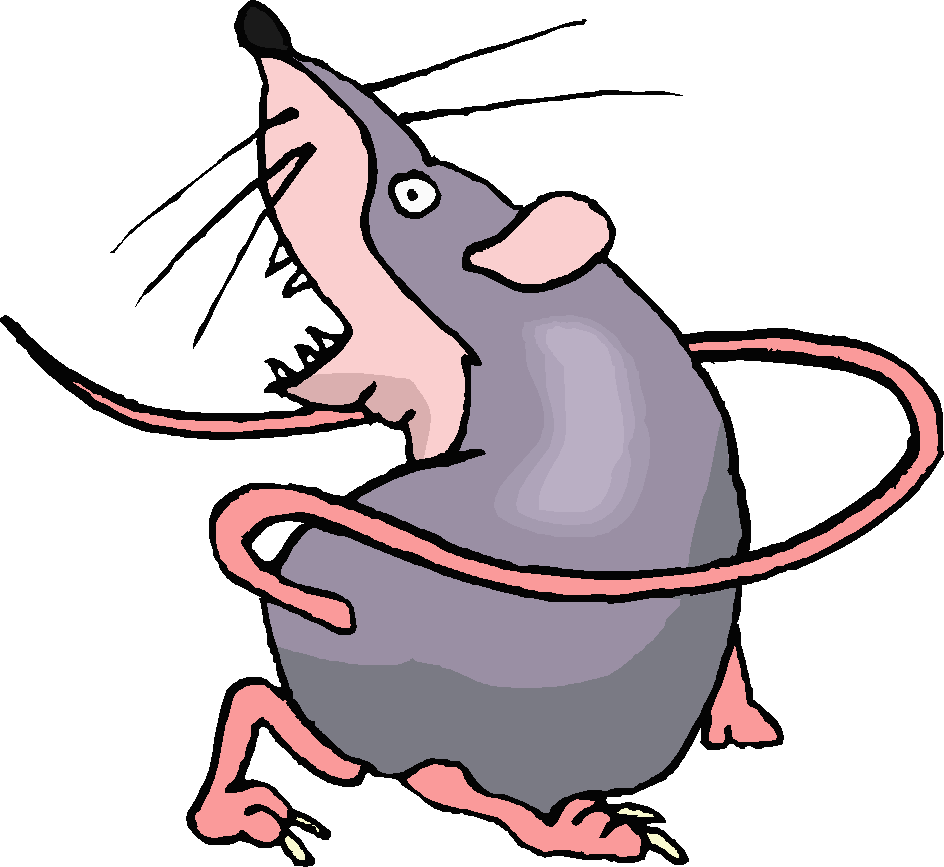 clipart pictures of rats - photo #28