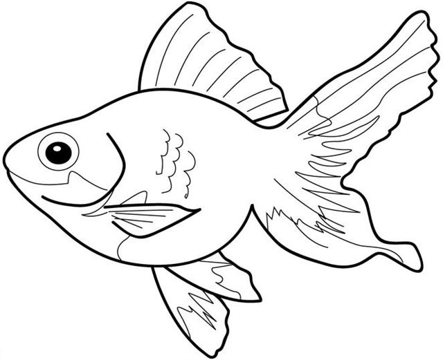 Fish Clipart To Color