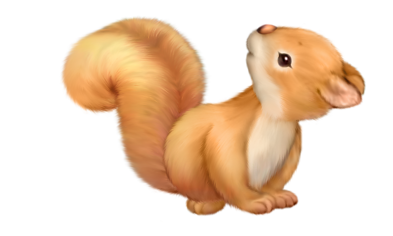 Cute Squirrel Free Clipart