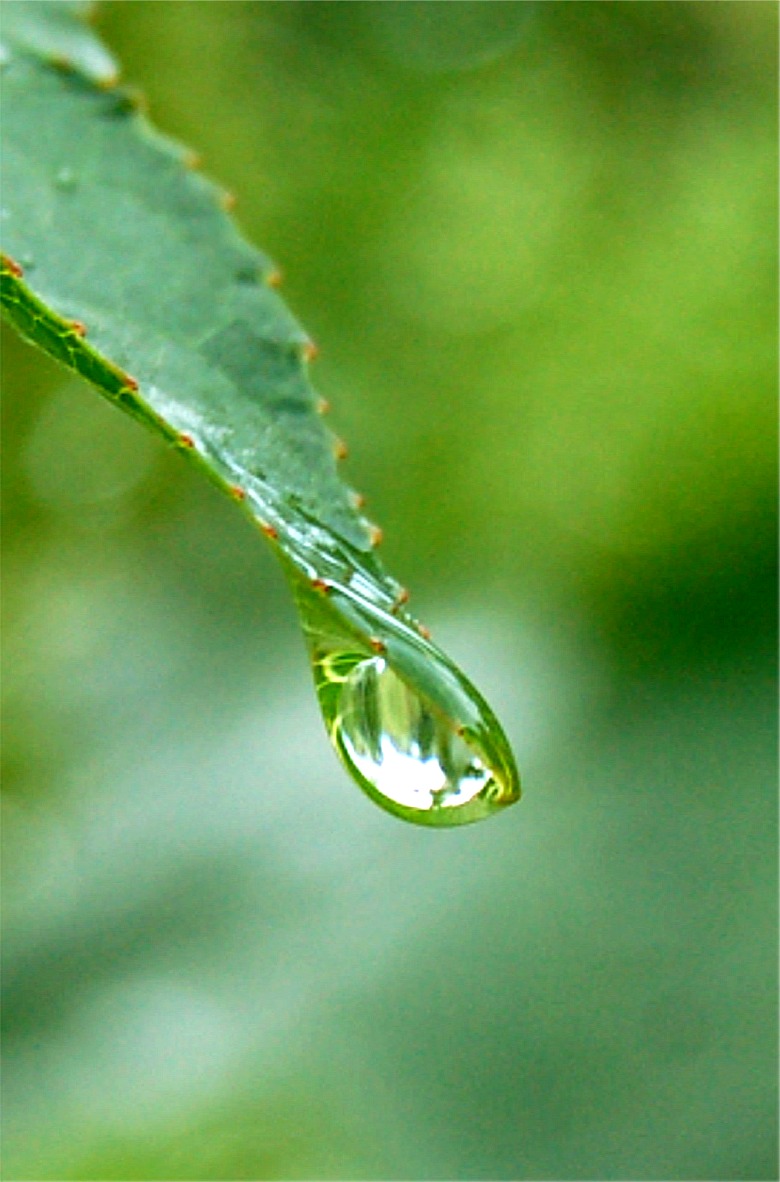 PA Raindrops Fall in Puddles - Green Screen Rain Effect