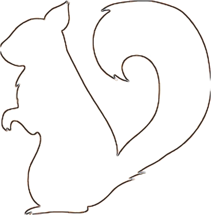 Free Images Of Squirrel, Download Free Images Of Squirrel png images, Free  ClipArts on Clipart Library