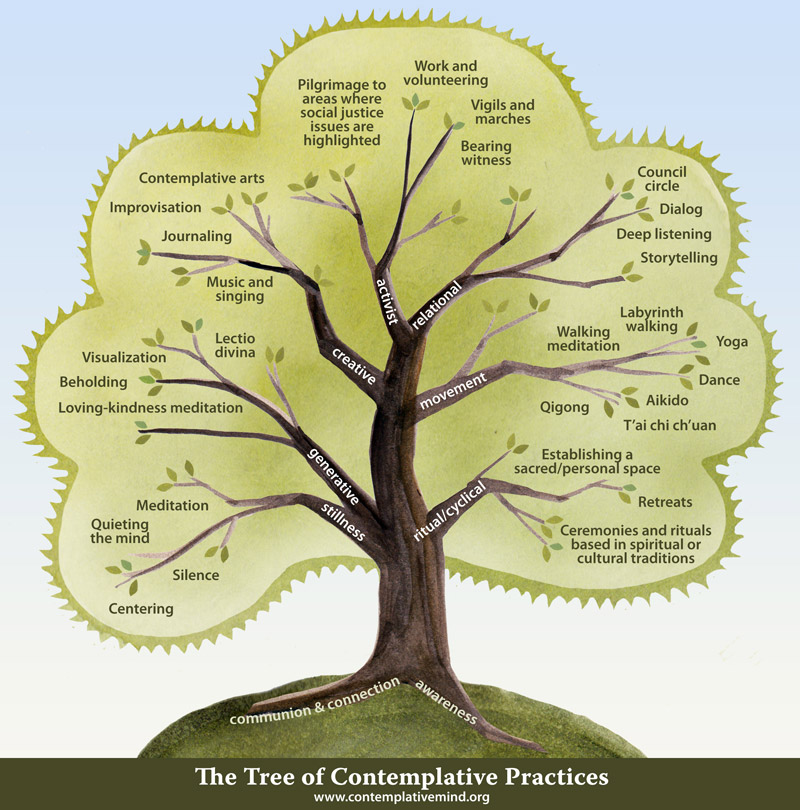 The Tree of Contemplative Practices | The Center for Contemplative 