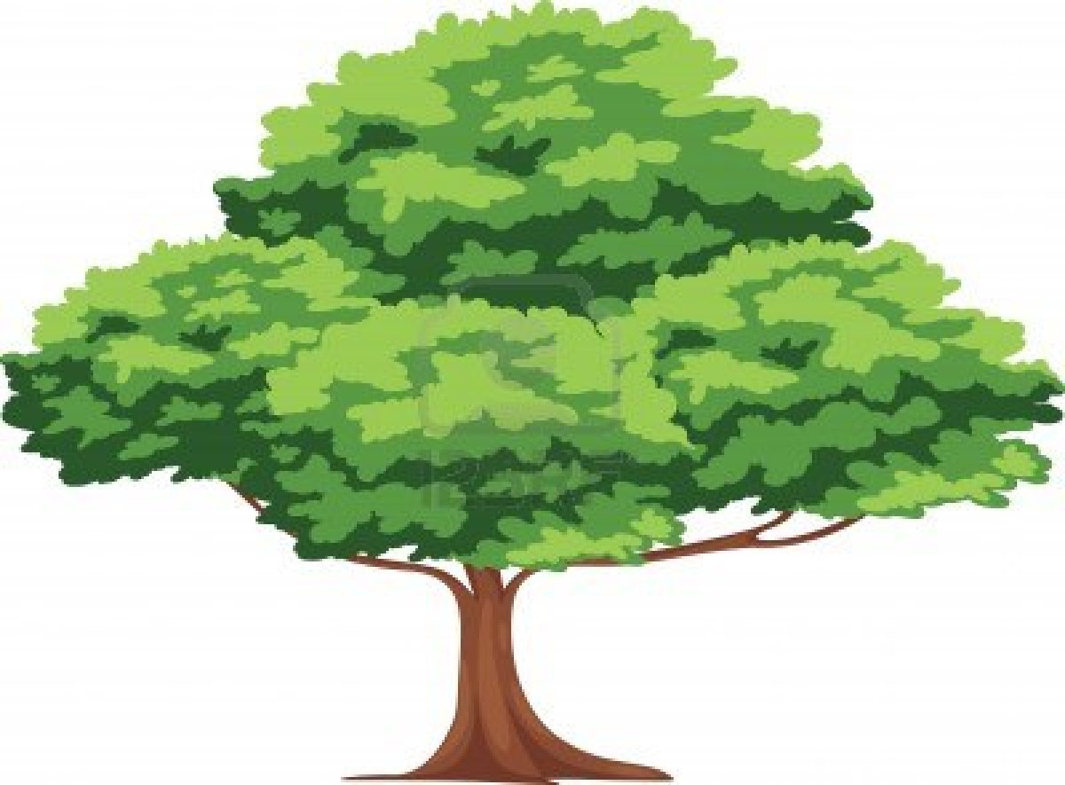 Free Tree Vector Png Download Free Clip Art Free Clip Art On Clipart Library