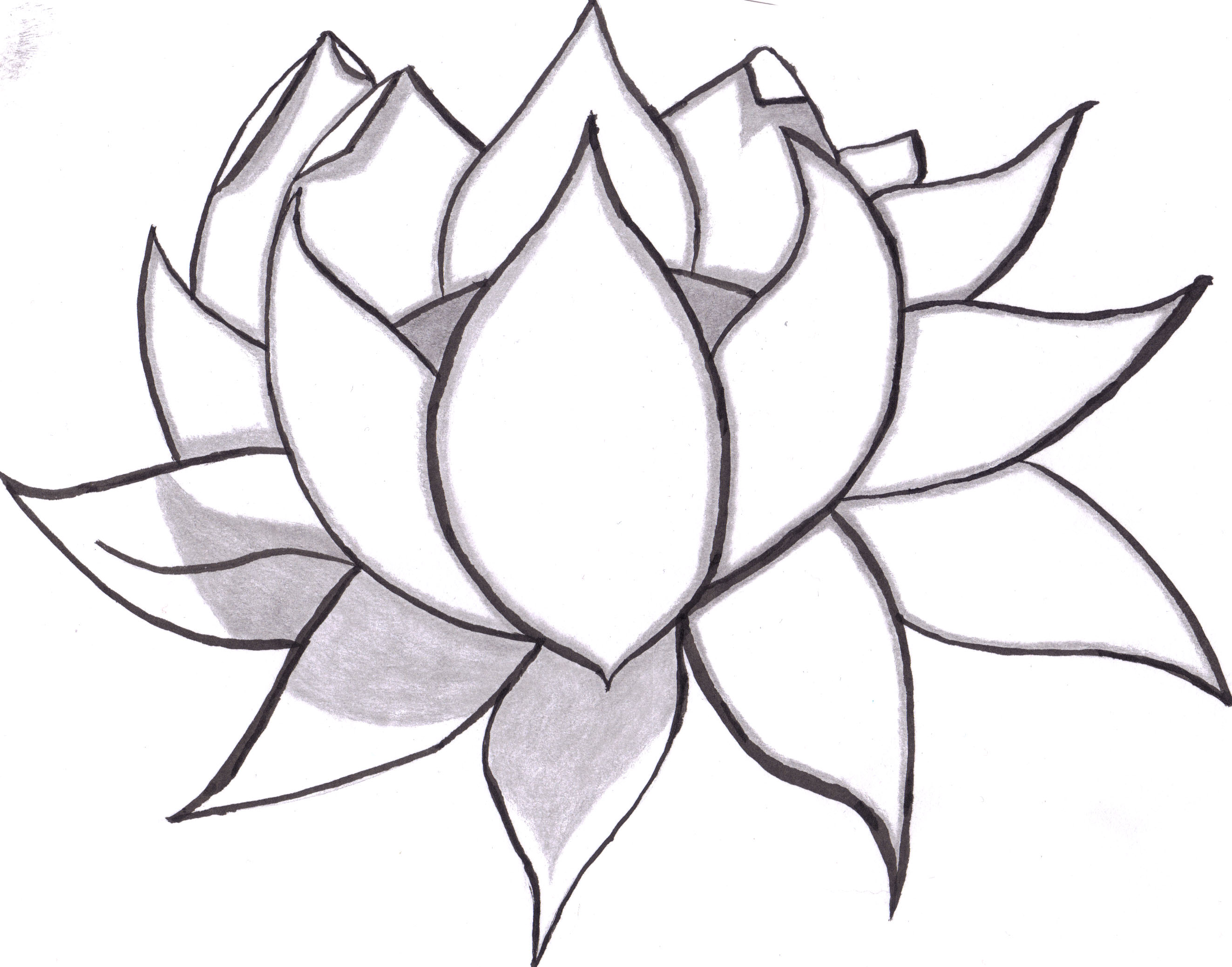 Free Easy Drawings Of Flowers, Download Free Easy Drawings Of Flowers