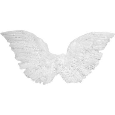 : Forum Novelties 66061F White Small Angel Wings 