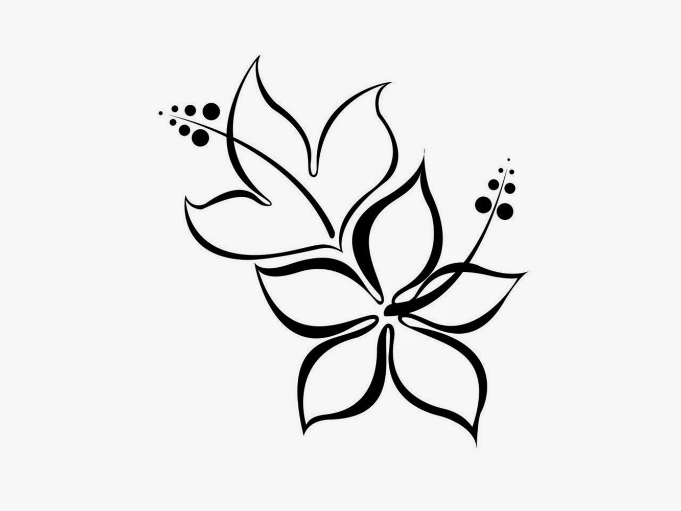 black-and-white-flower-drawing-clip-art-library