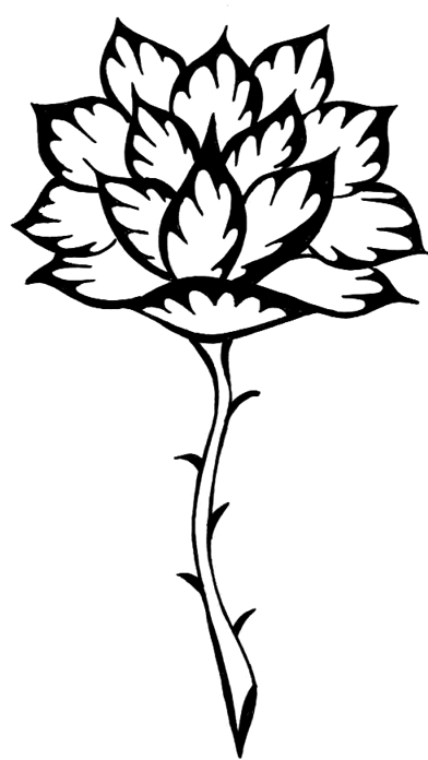 Thorny Tribal Rose / Rose Flower Tattoos / Free Tattoo Designs 