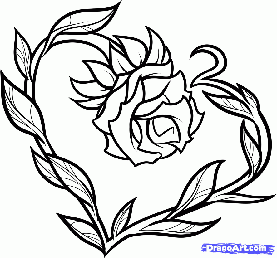 how-to-draw-a-heart-rose-rose-heart-by-dawn-dragoart