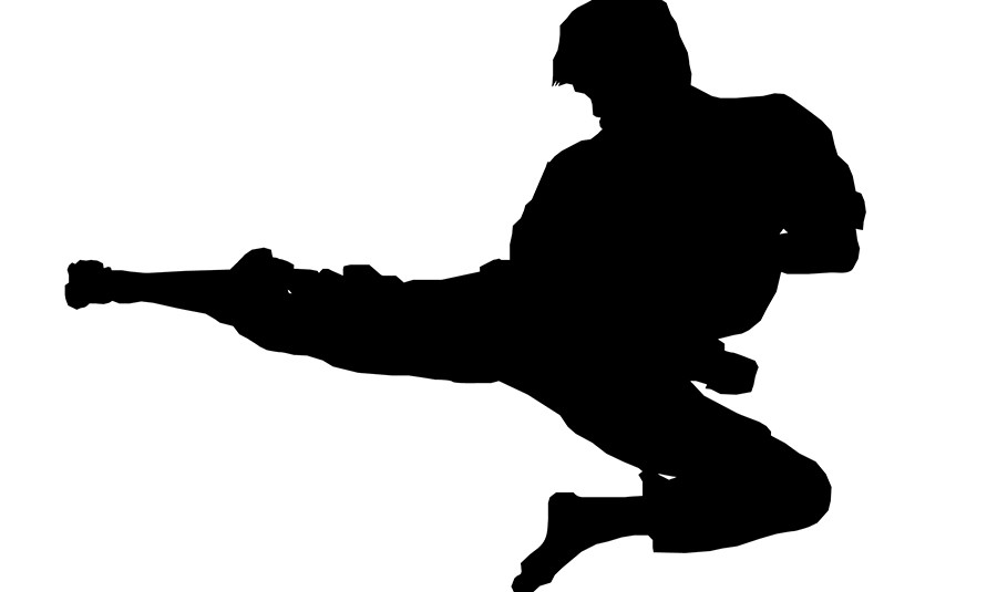 Mudokai Karate Starts September 3 at Delray Beach Community Center