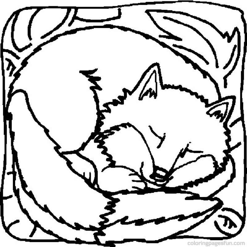 Fox | Free Printable Coloring Pages � Coloringpagesfun.com | Page 2