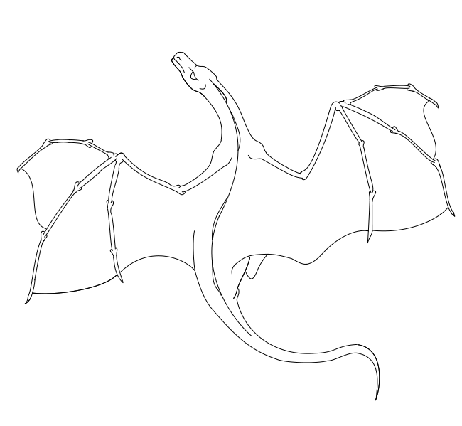 Free How To Draw A Flying Dragon, Download Free How To Draw A Flying