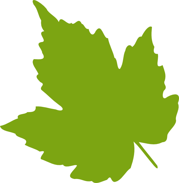 Light Green Leaf clip art - vector clip art online, royalty free 