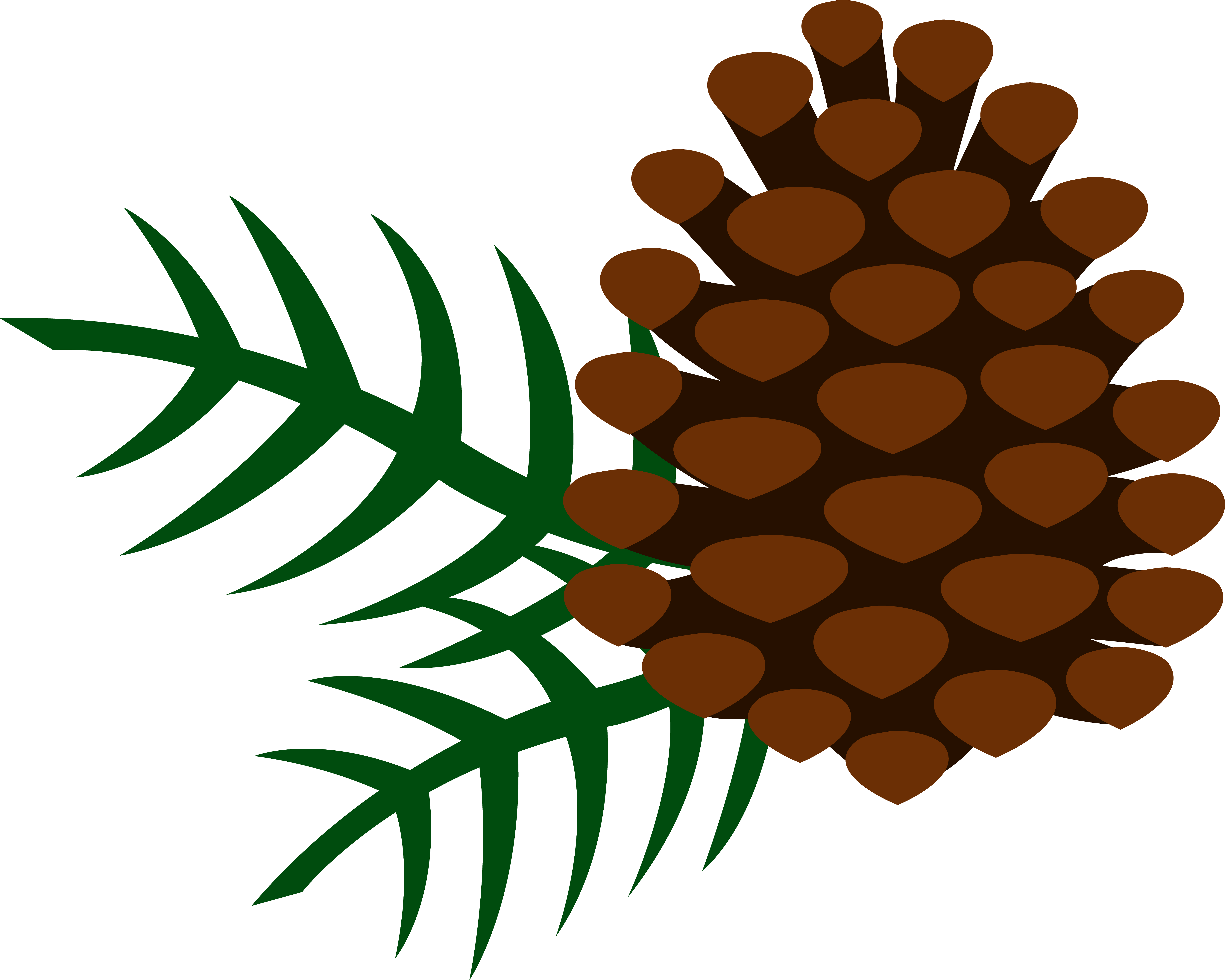 Pine Cone and Pine Needles - Free Clip Art