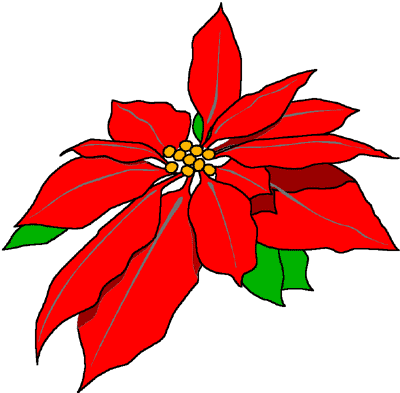 Free Poinsettias Clipart. Free Clipart Images, Graphics, Animated 