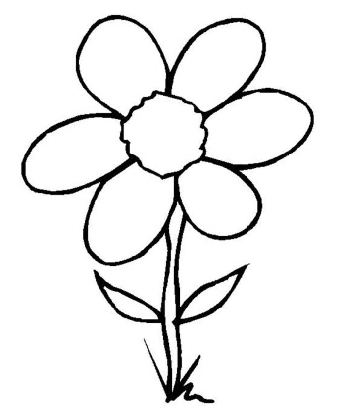 Featured image of post Simple Flower Drawings In Black And White : The courses for people of all ages, painting, design, sketching and learning as it should help the.