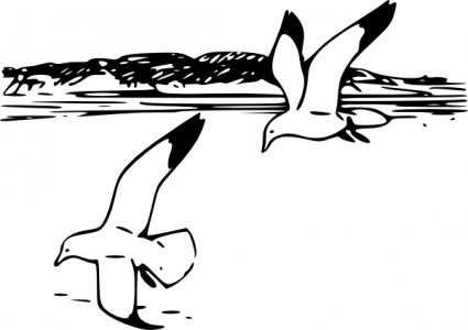 Flying Sea Gulls clip art - Download free Other vectors