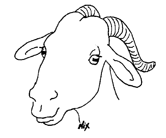 goat head Colouring Pages
