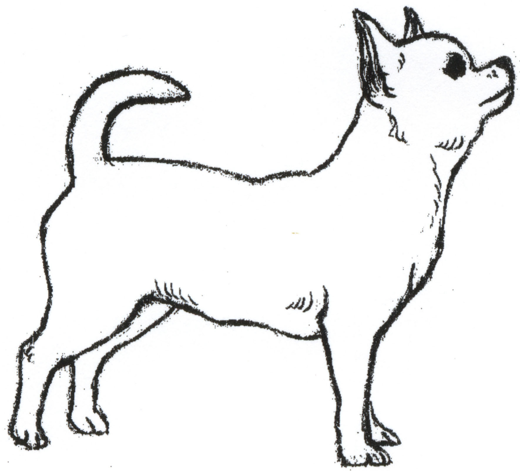 printable chihuahua coloring page Clip Art Library