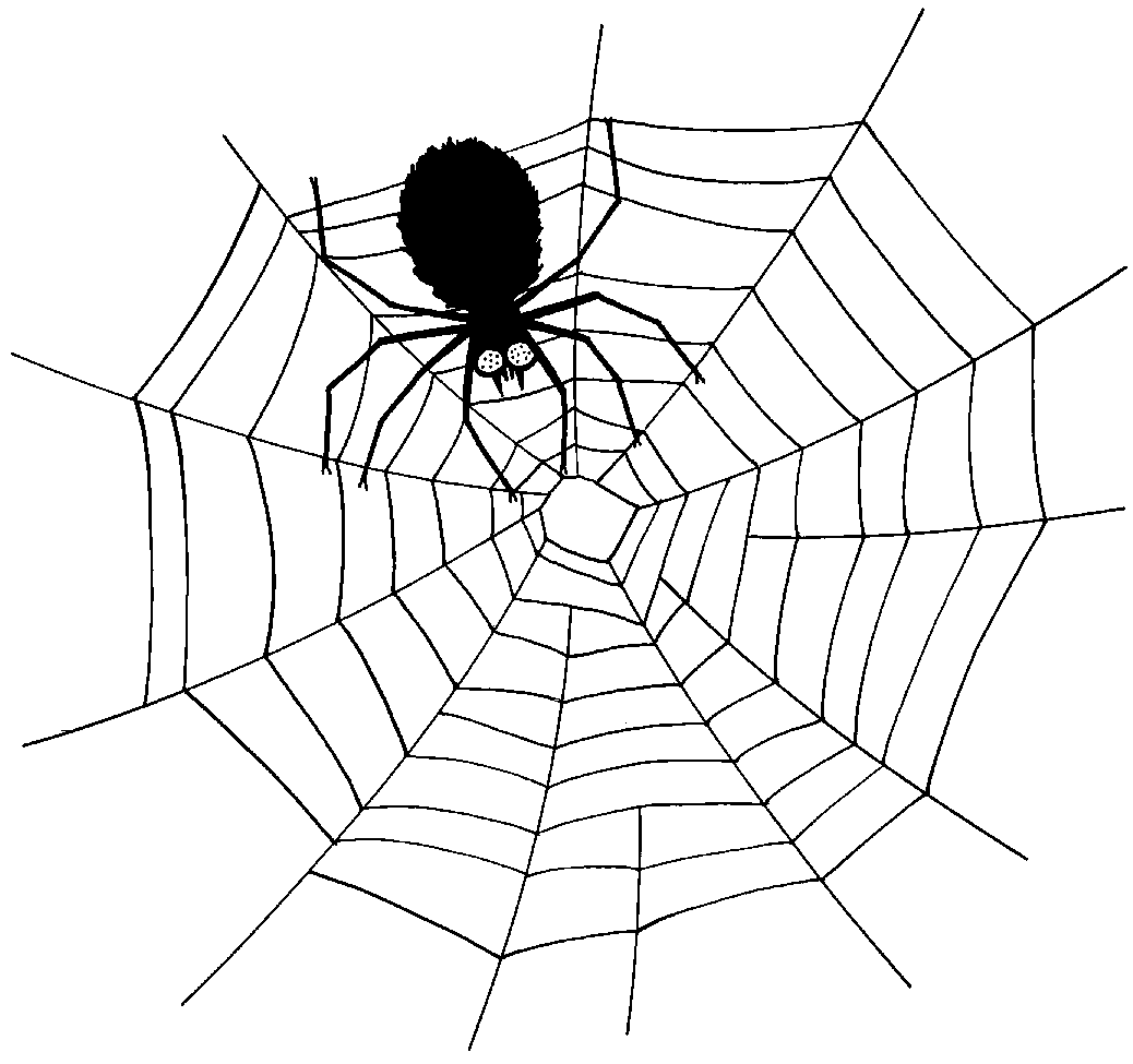 A Spider Clip Art Images  Pictures - Becuo