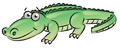 How to Draw Crocodiles  Alligators : Drawing Tutorials  Drawing 