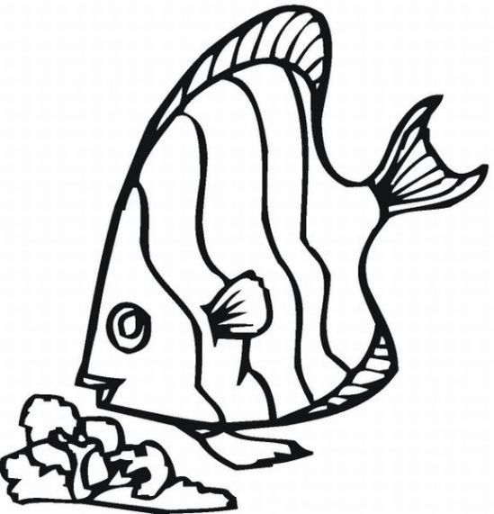 rainbow-fish-coloring-pages-158 - Free Printable Coloring Pages 