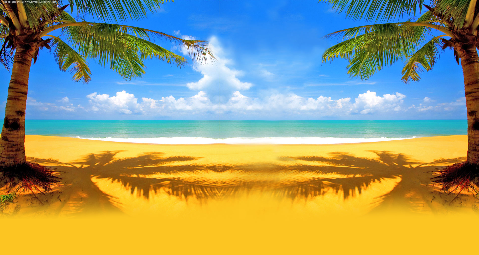 Twitter Background With Palm On A Beach Twitterevolutions Clip