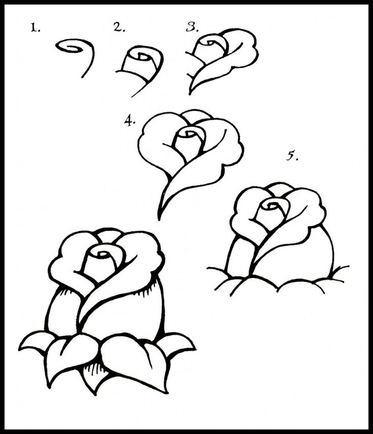 How To Draw A Rose Step By Step | Drawing  Painting | Clipart library
