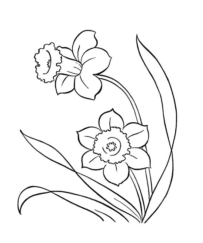 spring clip art coloring pages - photo #7