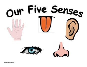 5-Senses-Posters-207443 Teaching Resources 