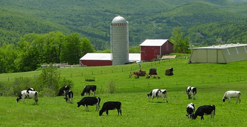 Farm Insurance - Virginia Independent Insurance Agent