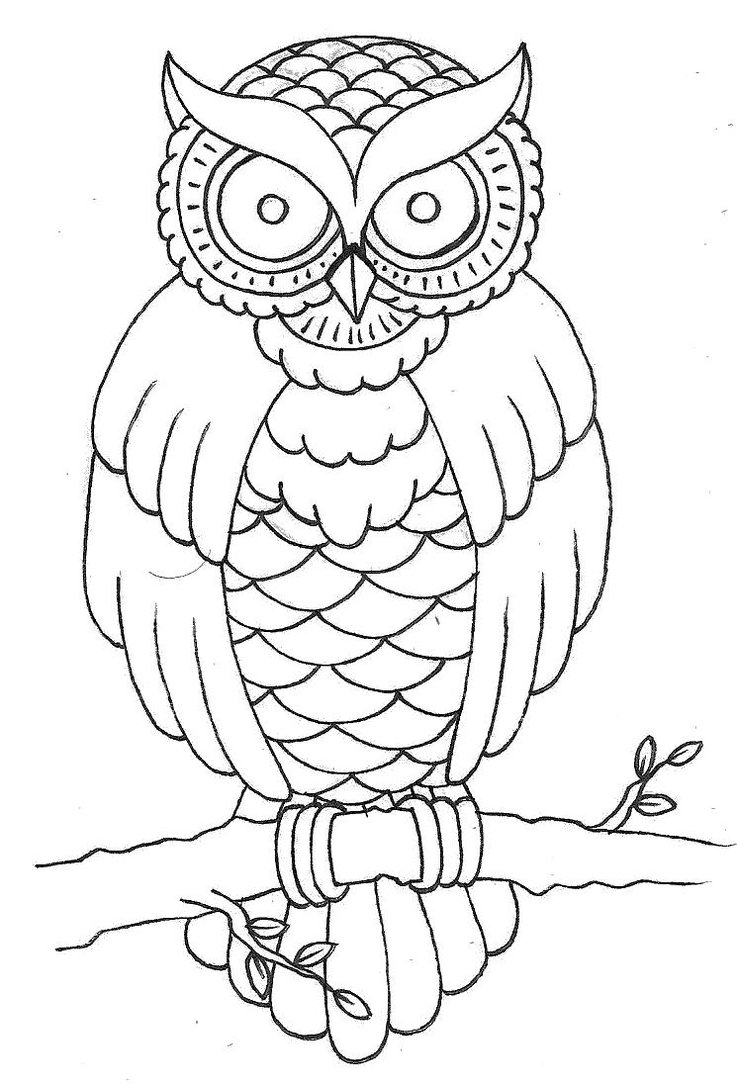 Free Owl Outline, Download Free Owl Outline png images, Free ClipArts