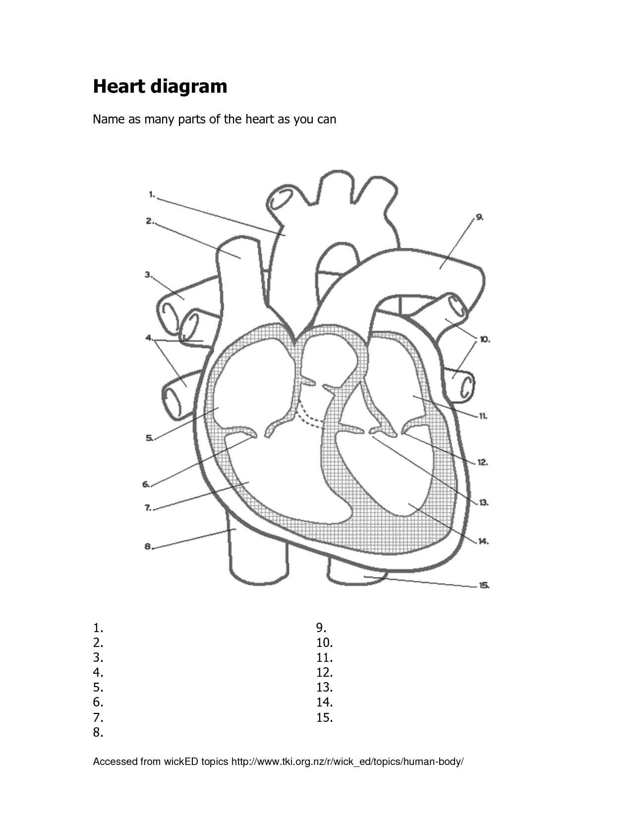 name the parts of a heart - Clip Art Library