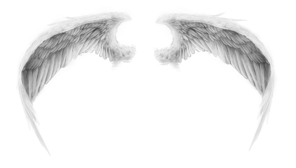 wings by RomanticFae on Clipart library