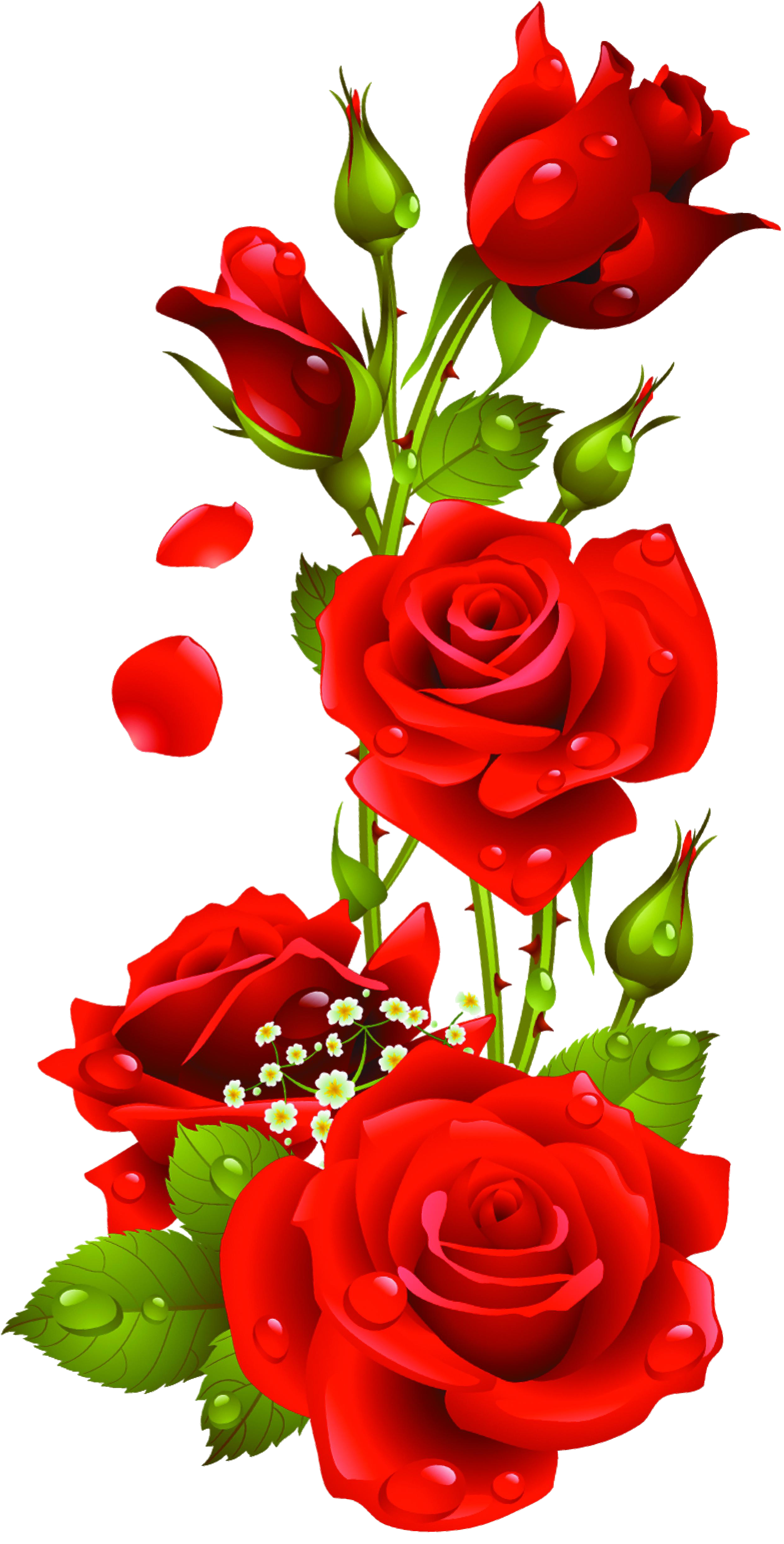 Free Rose Vector Png, Download Free Rose Vector Png png images, Free