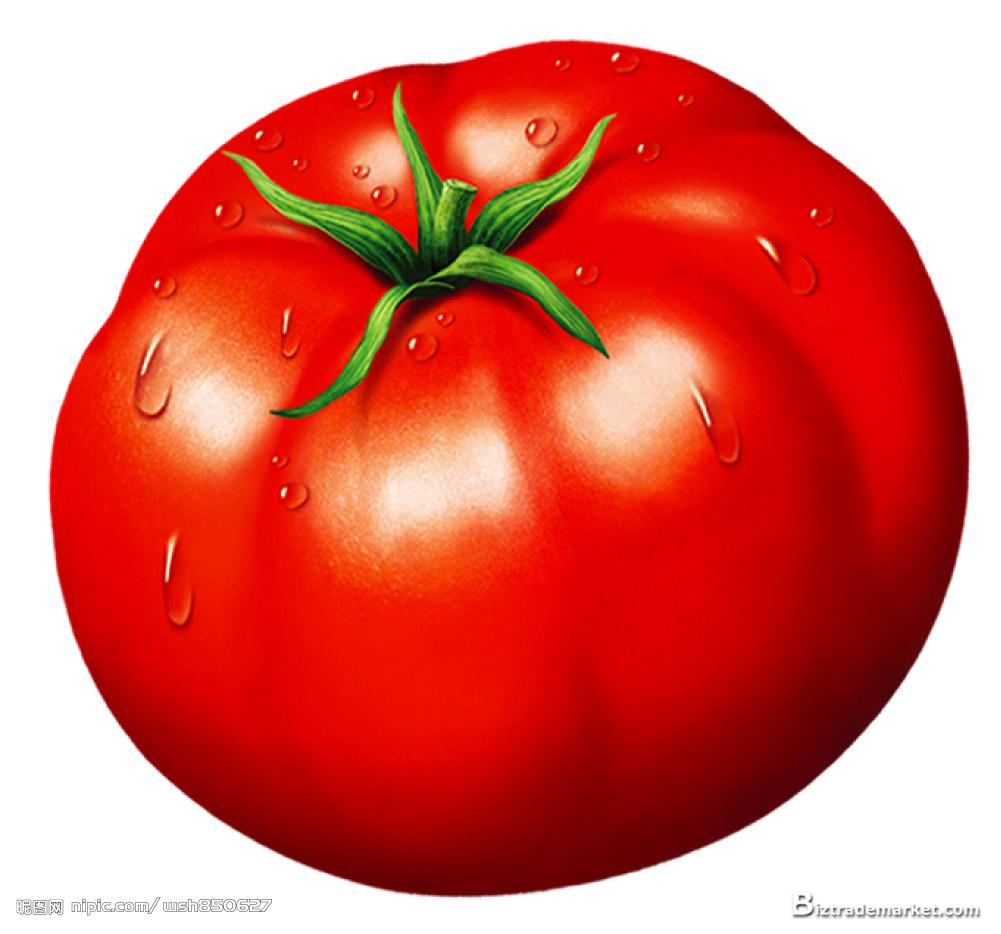 tomato_wallpaper1228.jpg
