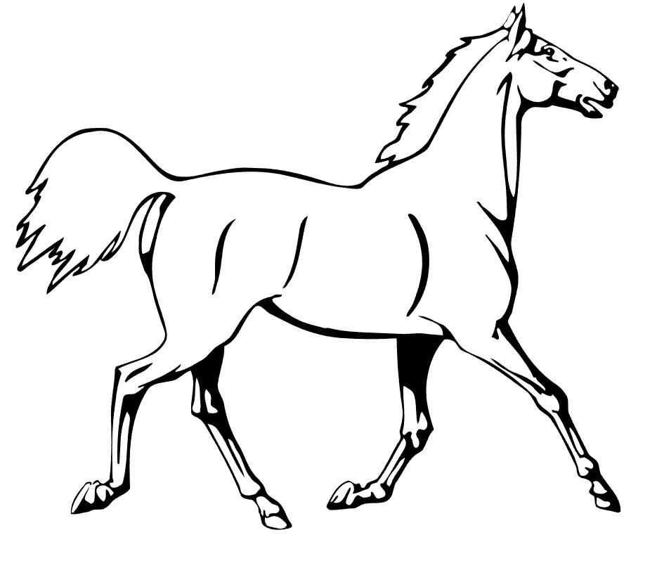 gallup coloring pages - photo #14