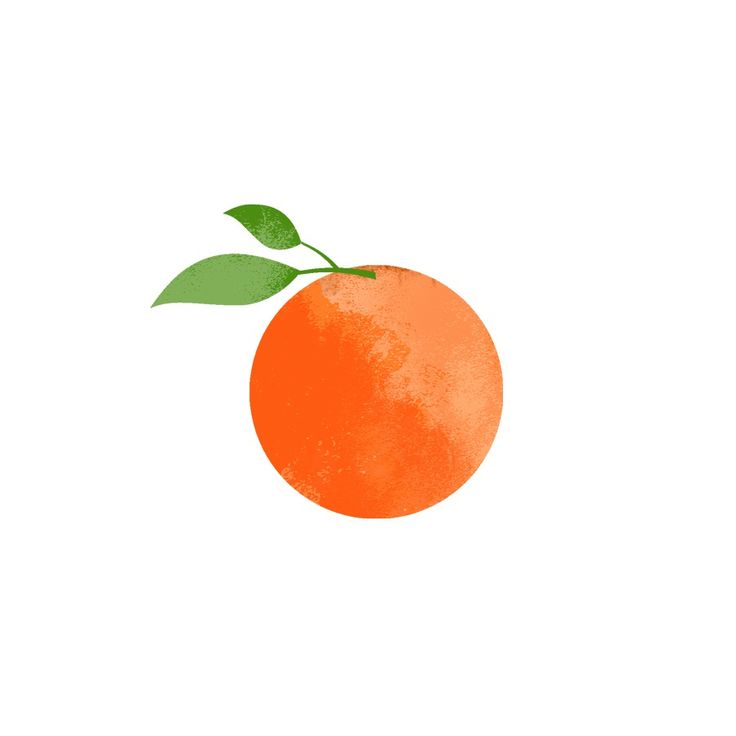 Free Images Of Oranges Download Free Clip Art Free Clip Art On Clipart Library