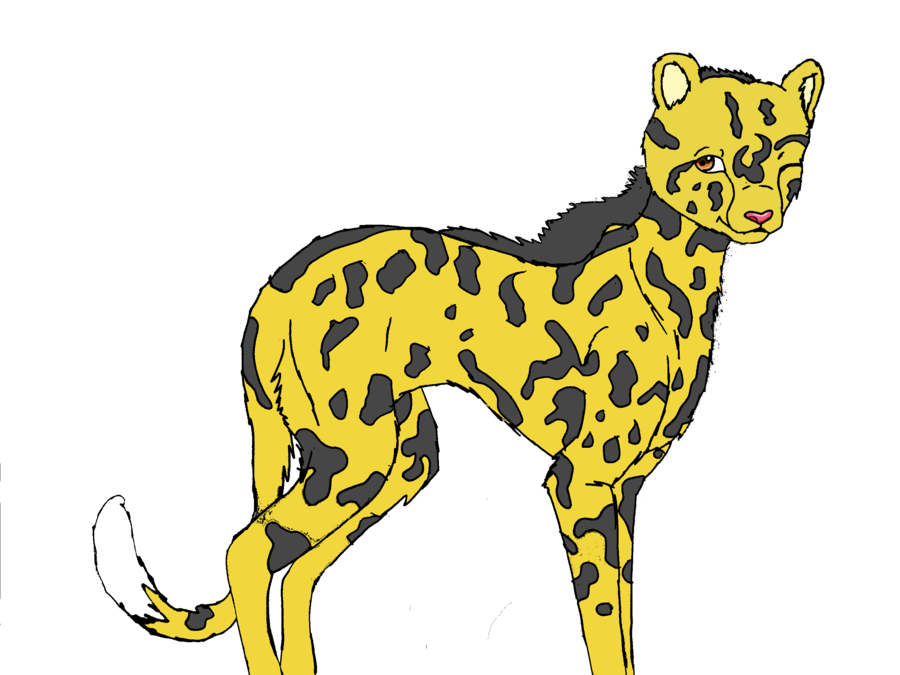 King cheetah by Midnightflaze on Clipart library
