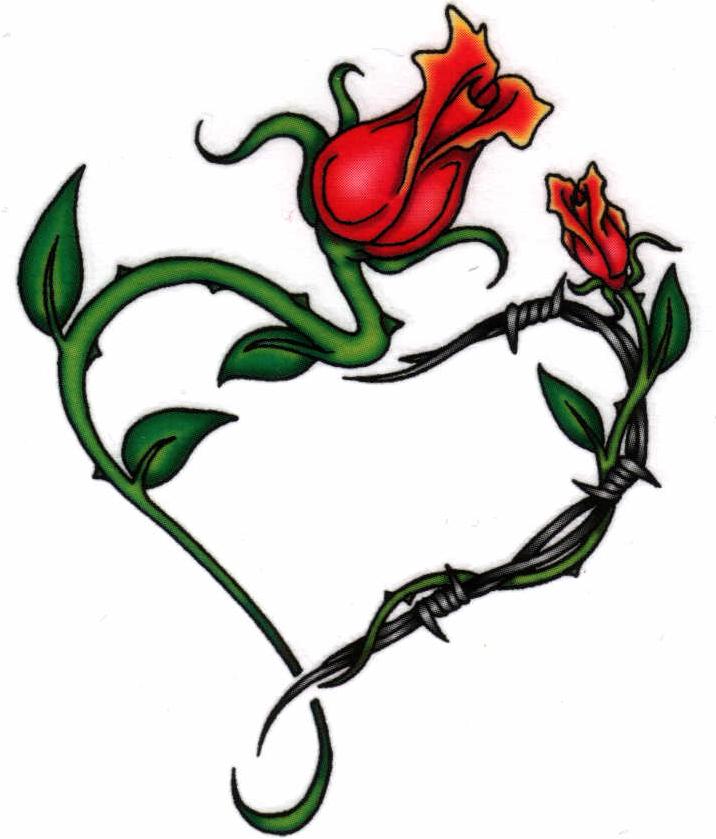 Free Rose Vine Drawings, Download Free Rose Vine Drawings png images
