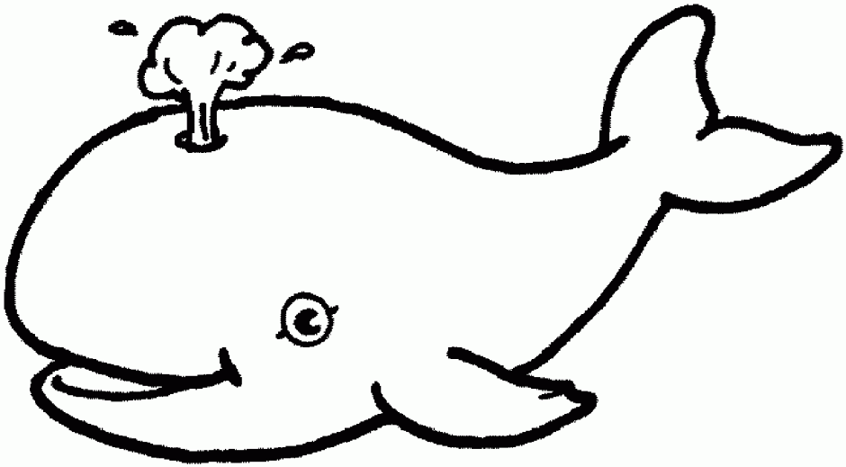 Water Animals Coloring Pages Sea Animals Coloring Pages 232068 