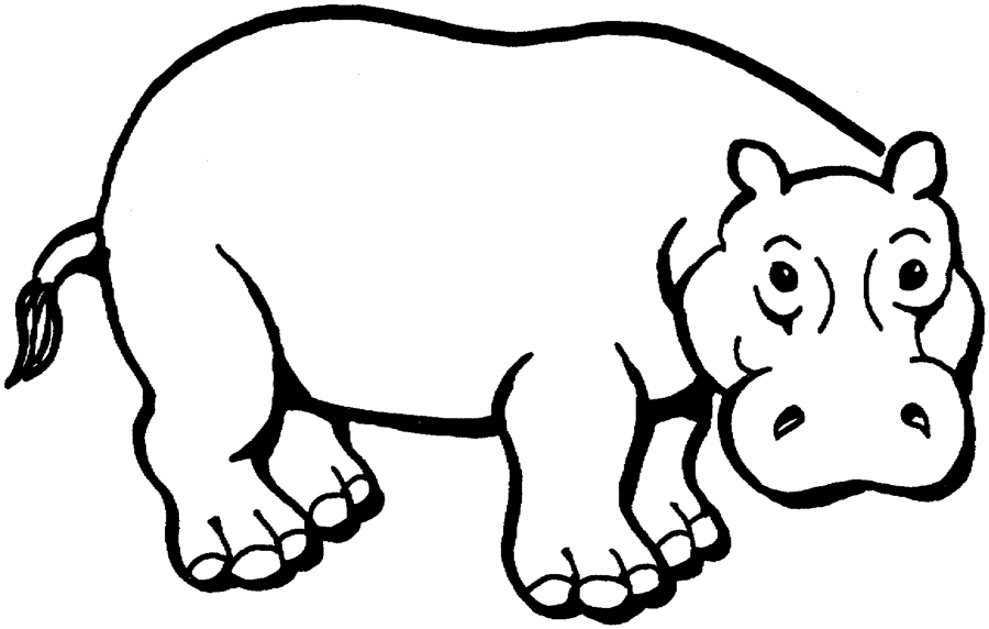Hippo Coloring Pages | ColoringMates.