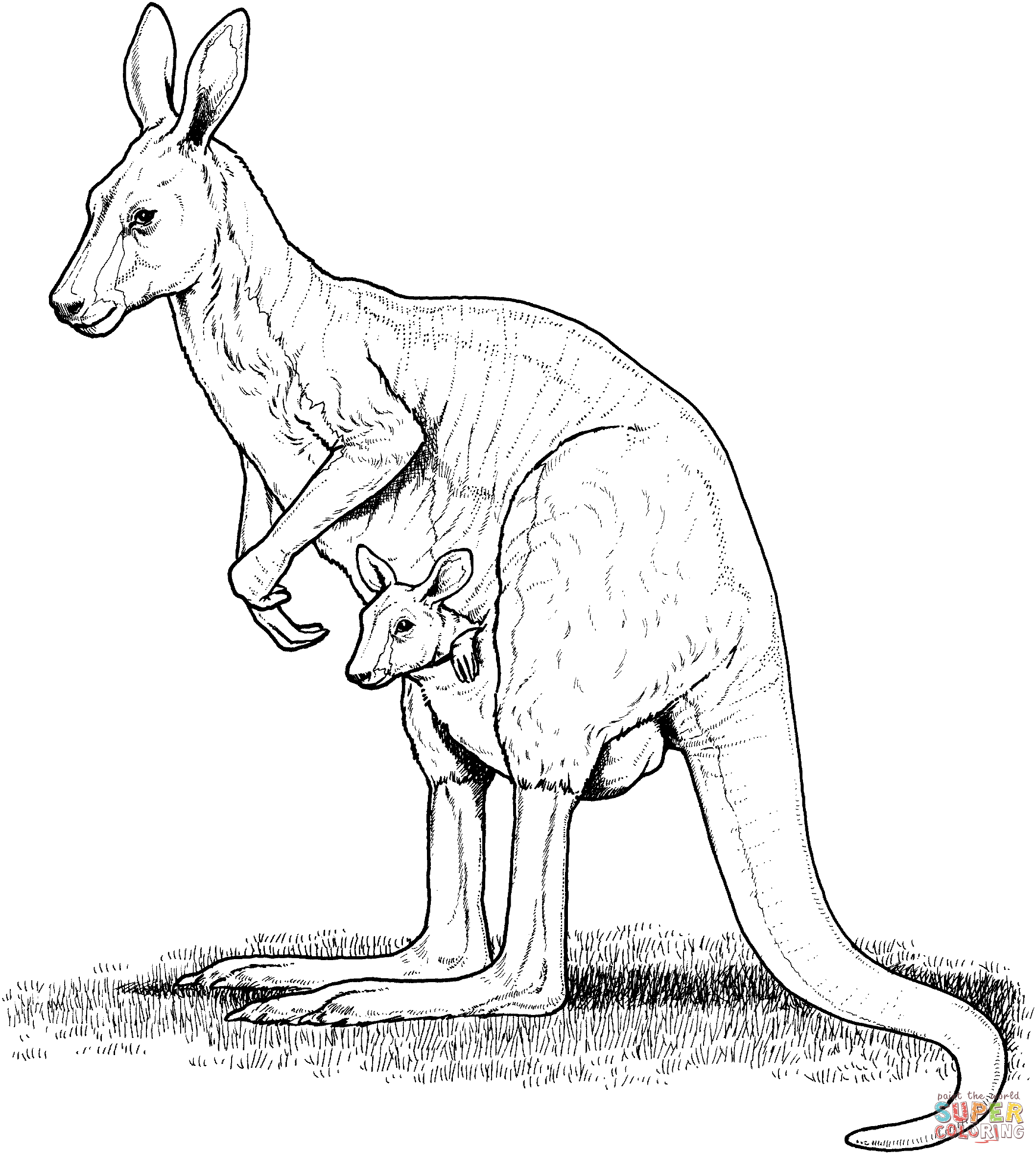 Red Kangaroo with Joey in Pouch Coloring page | Free Printable 