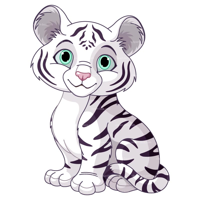 Transparent Baby Tiger Animated