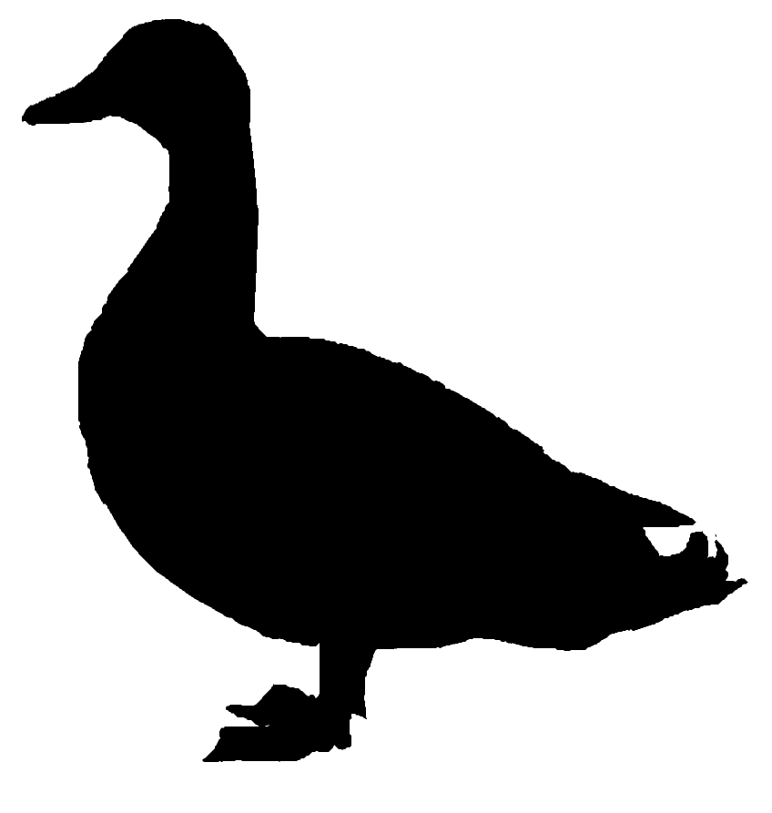 Image gallery for : mallard duck head silhouette
